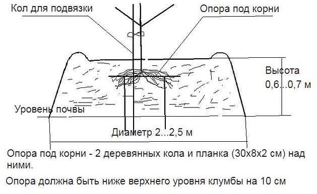 02.jpg