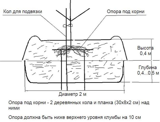 03.jpg