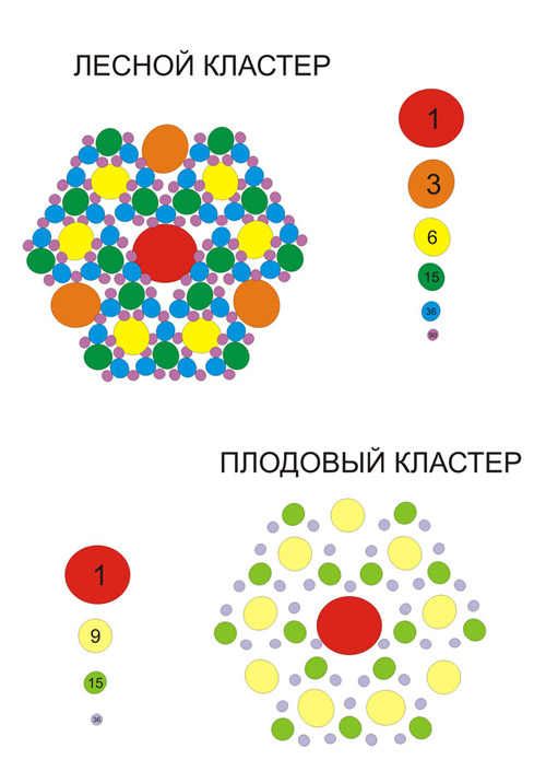 кластеры .jpg