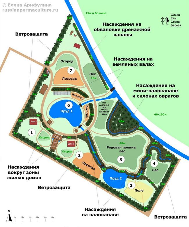 Защитные насаждения.jpg