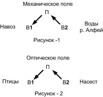 веполь.jpg